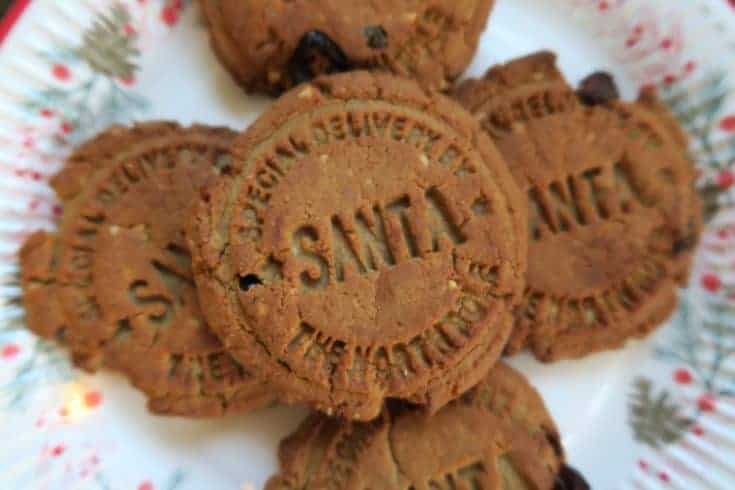 Gluten free & dairy free spiced protein Christmas cookies