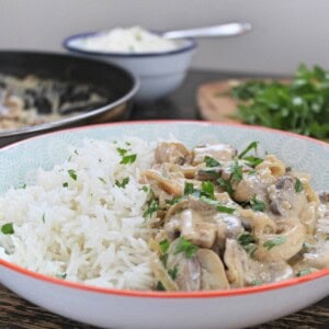 gluten free mushroom stroganoff recipe