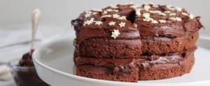 GLUTEN FREE CHOCOLATE CAKE RECIPE WITH THICK CHOCOLATE GANACHE FROSTING 53