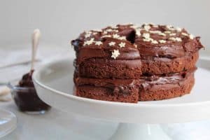 GLUTEN FREE CHOCOLATE CAKE RECIPE WITH THICK CHOCOLATE GANACHE FROSTING 53