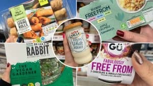 gluten free and vegan products