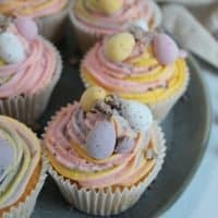 GLUTEN FREE MINI EGG CUPCAKES RECIPE
