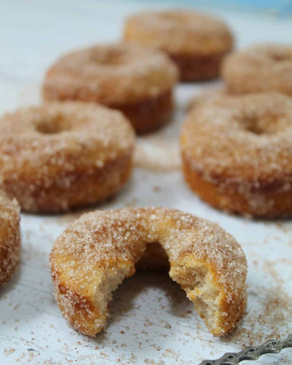 The BEST Gluten Free Baked Doughnuts - The Gluten Free Blogger