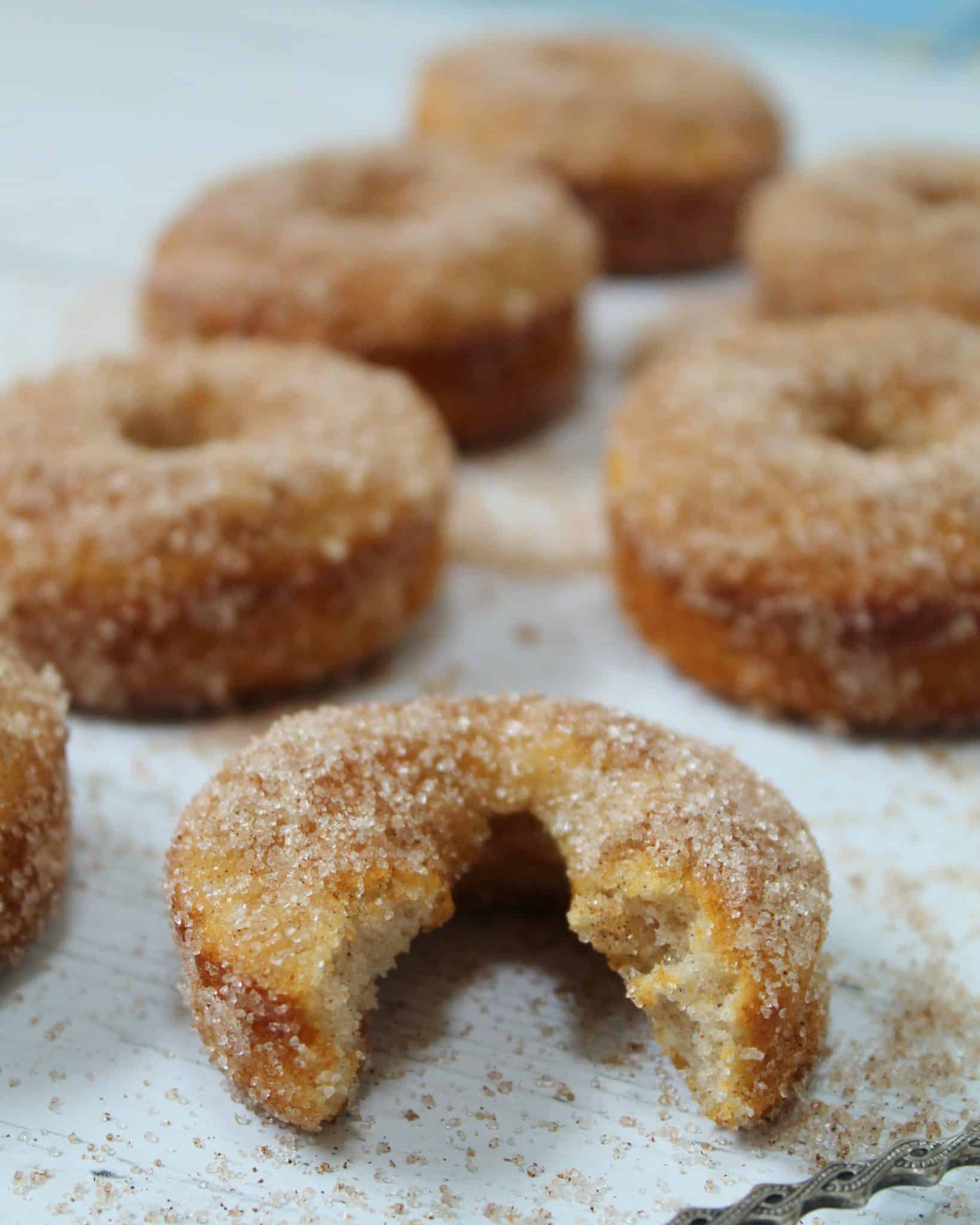 The BEST Gluten Free Baked Doughnuts - The Gluten Free Blogger