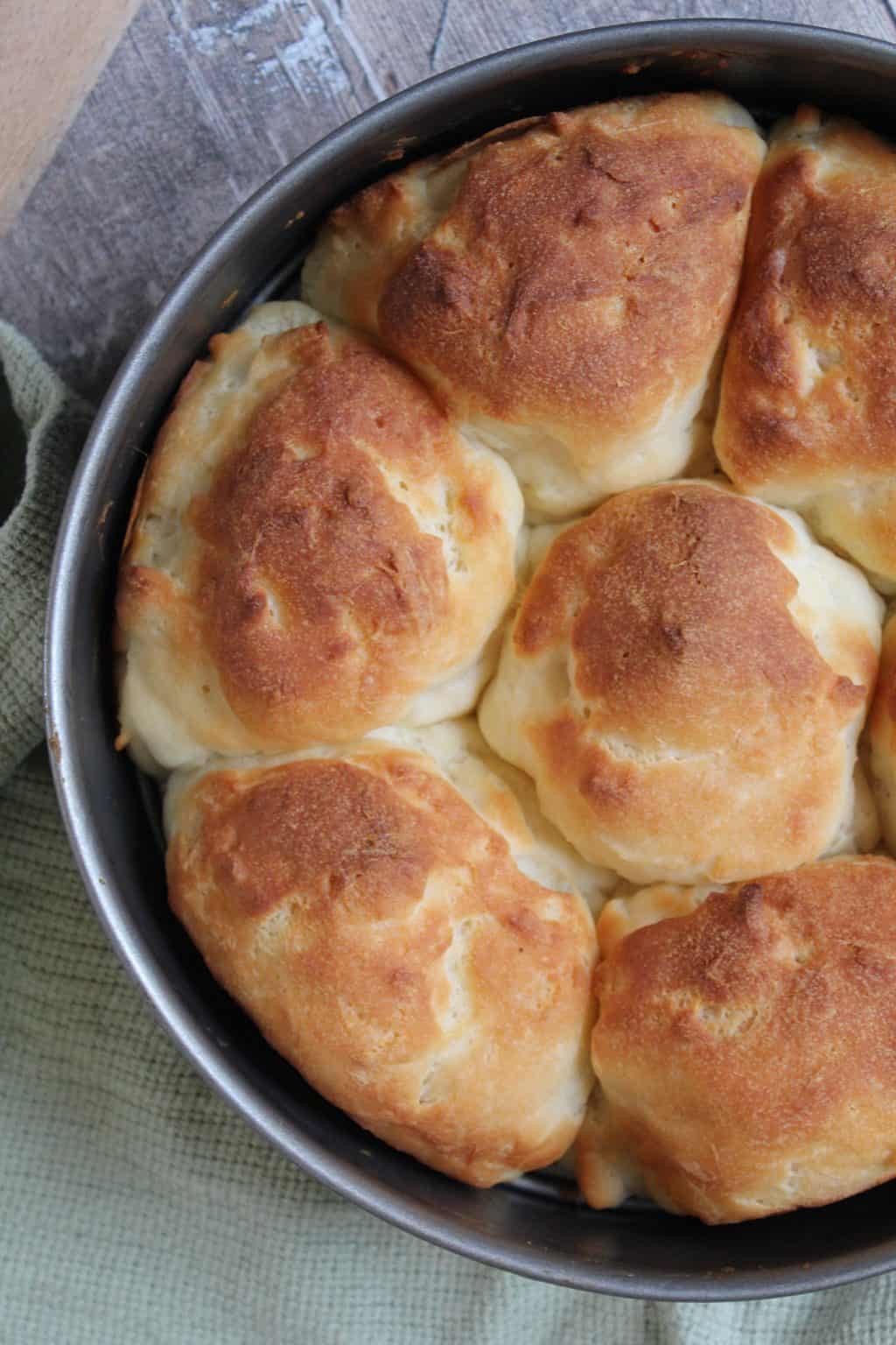 Soft Gluten Free Bread Rolls The Gluten Free Blogger