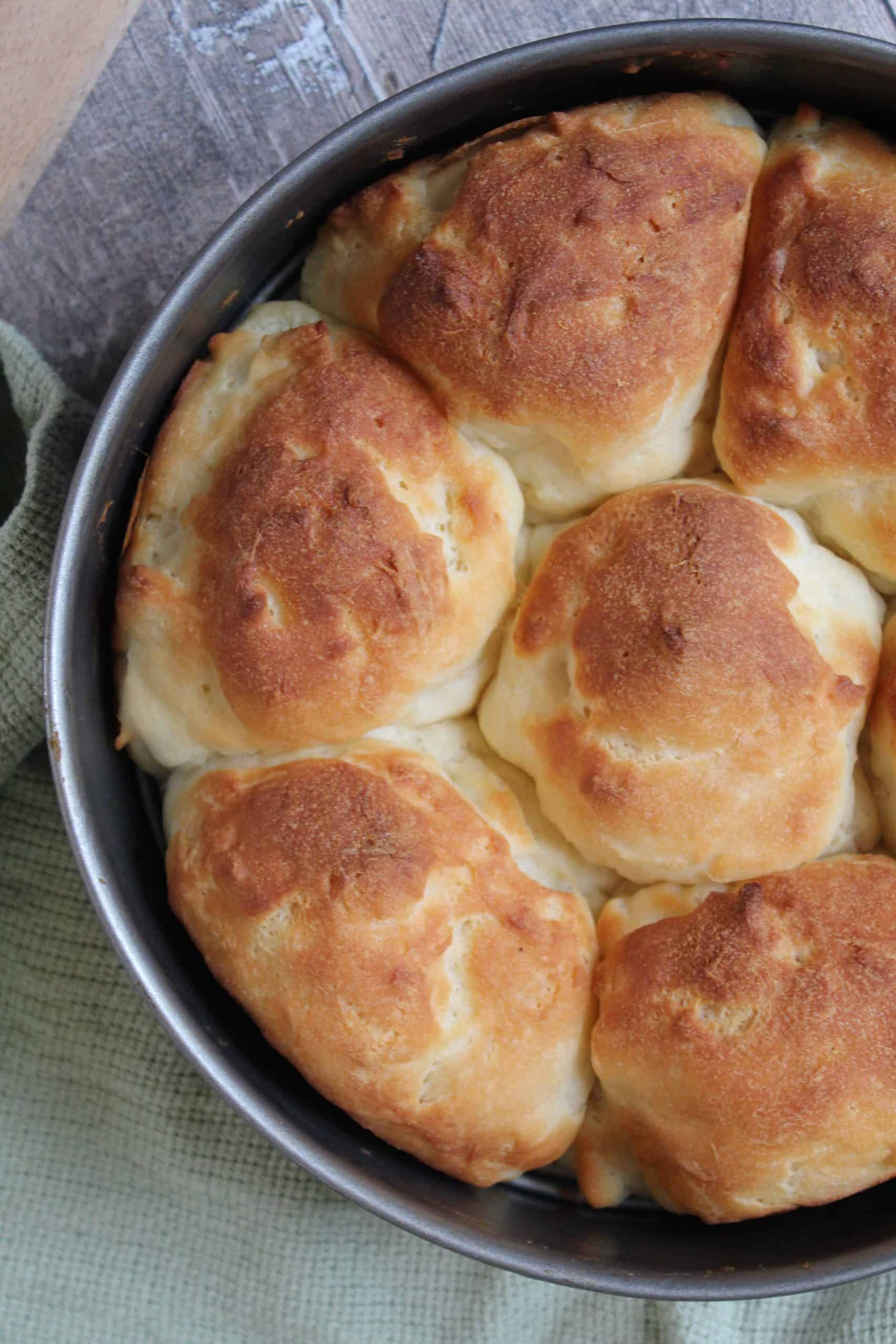 gluten free bread rolls recipe