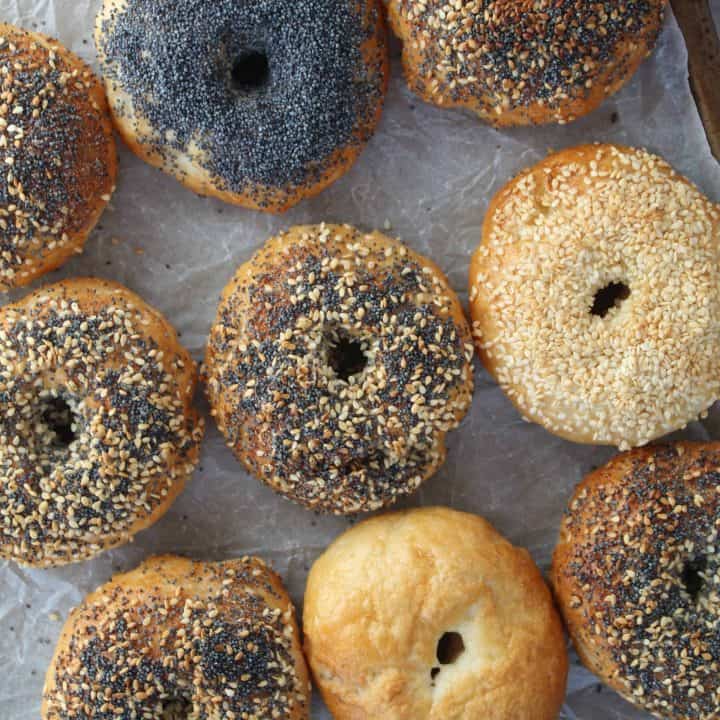 gluten free bagels