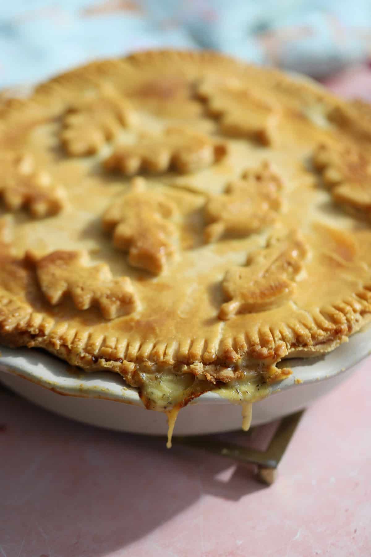 A gluten free chicken and ham pie fresh out of the oven.