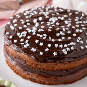 A gluten free chocolate cake with stars on top.