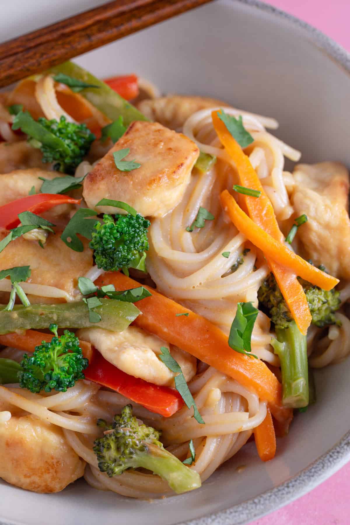 Close up of a bowl of peanut butter noodles.