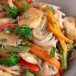 Close up of a bowl of peanut butter noodles.