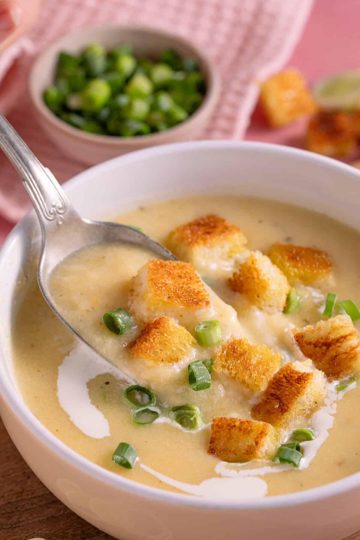 Close up of a bowl of leek and potato soup topped with croutons.