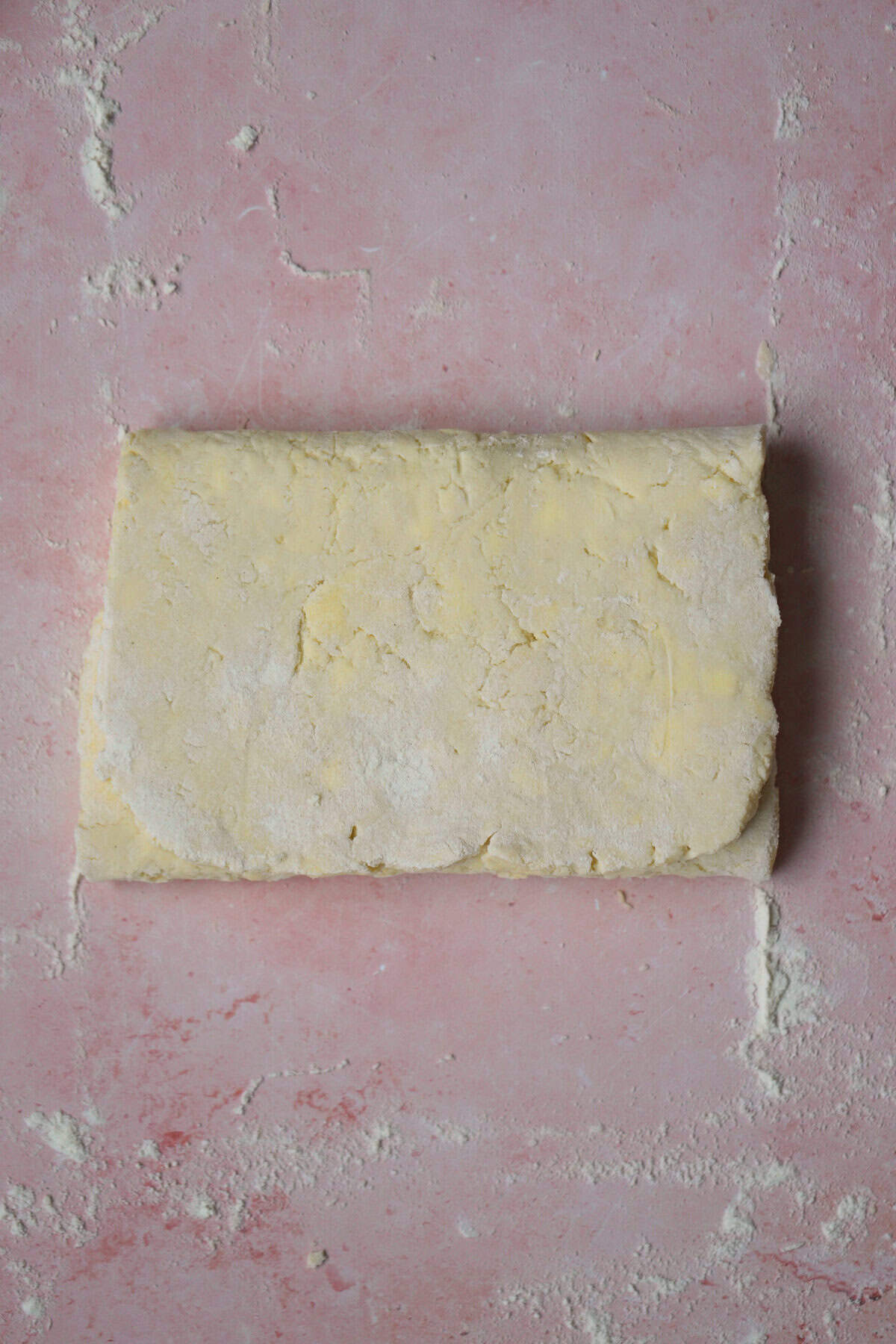 Fold the top half of the pastry back over the rest, to form three layers.