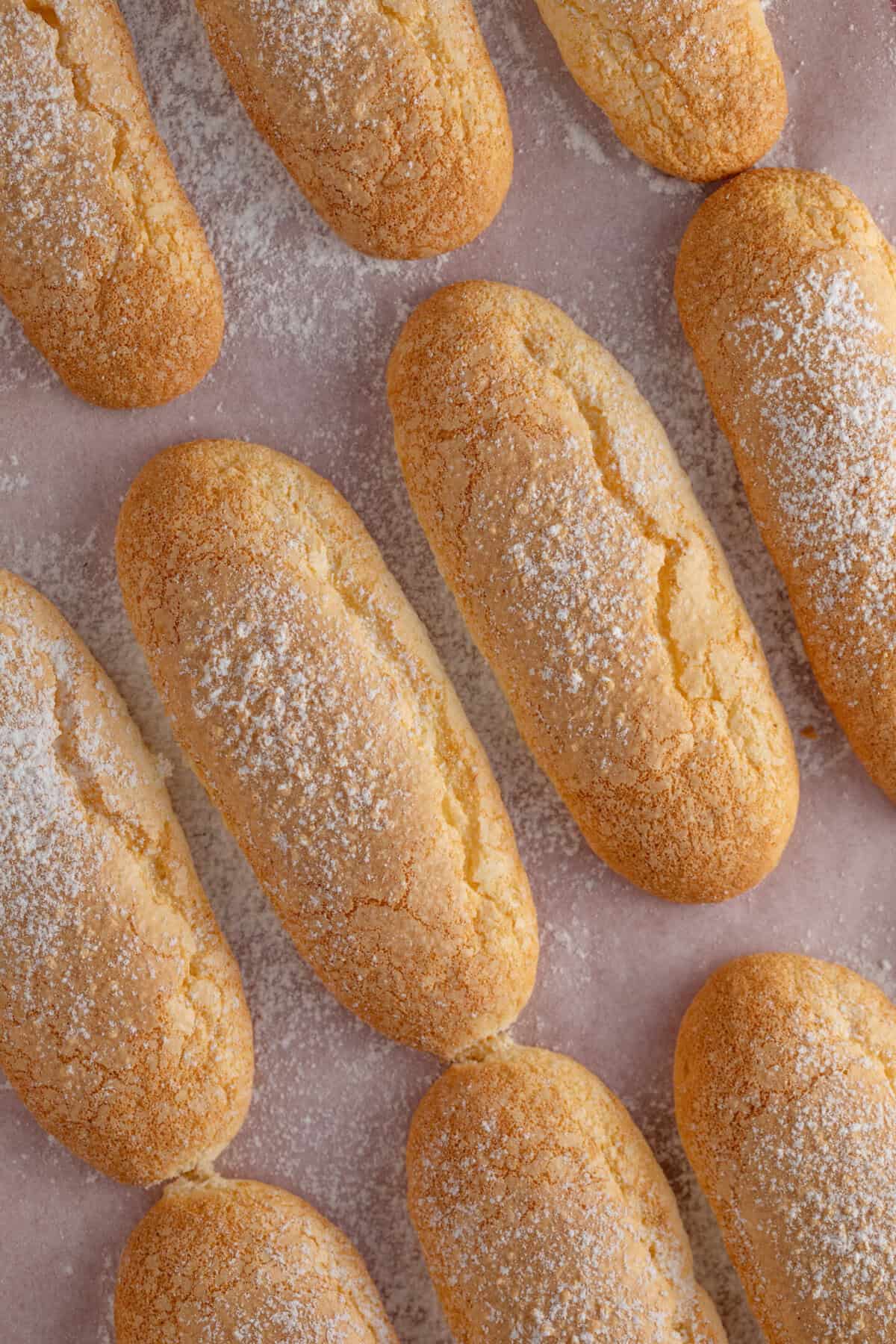 Close up of a tray of gluten free ladyfingers.