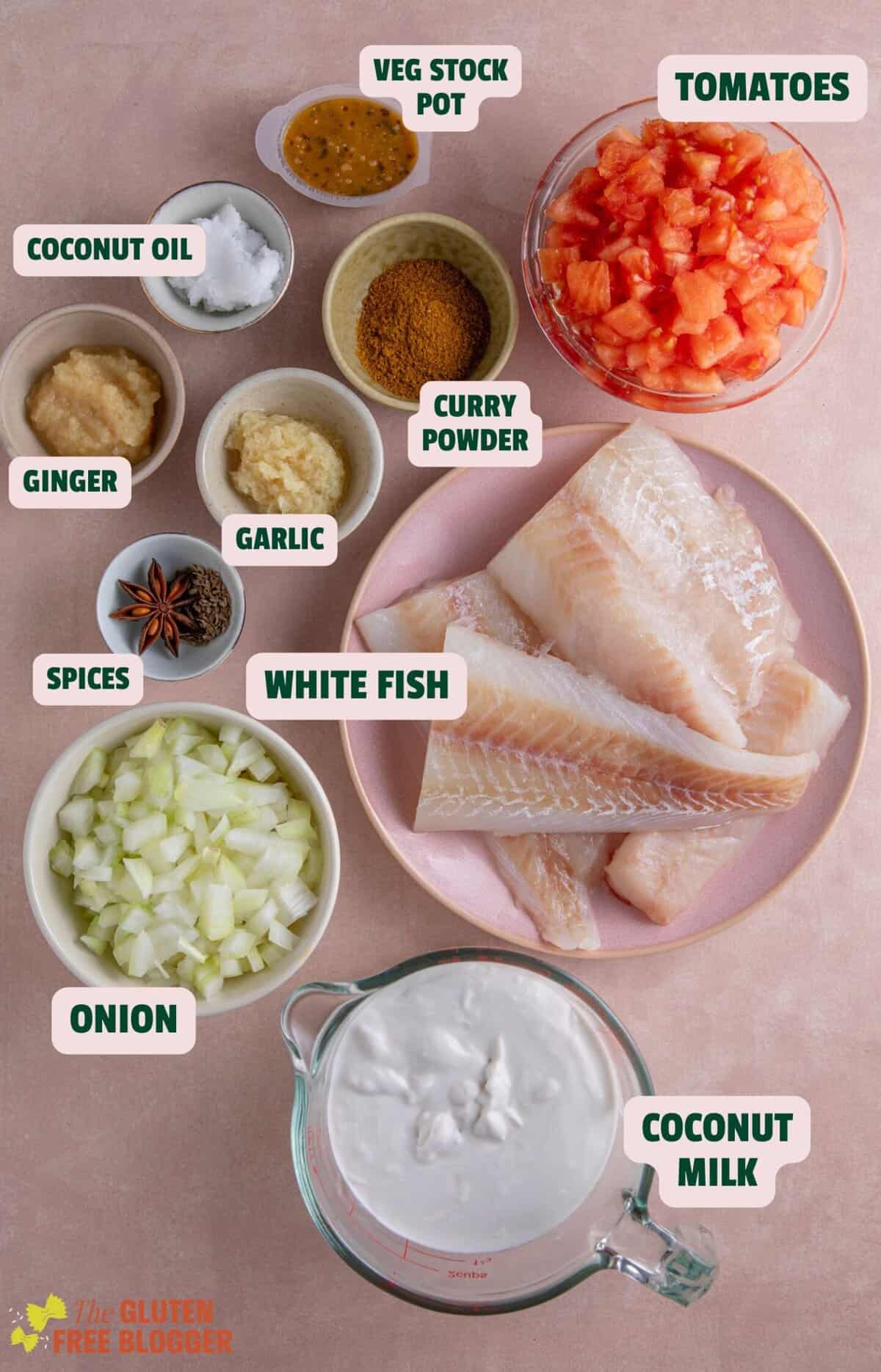 Ingredients for fish curry with text labels.