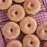 A tray of gluten free ring doughnuts coated in cinnamon sugar.