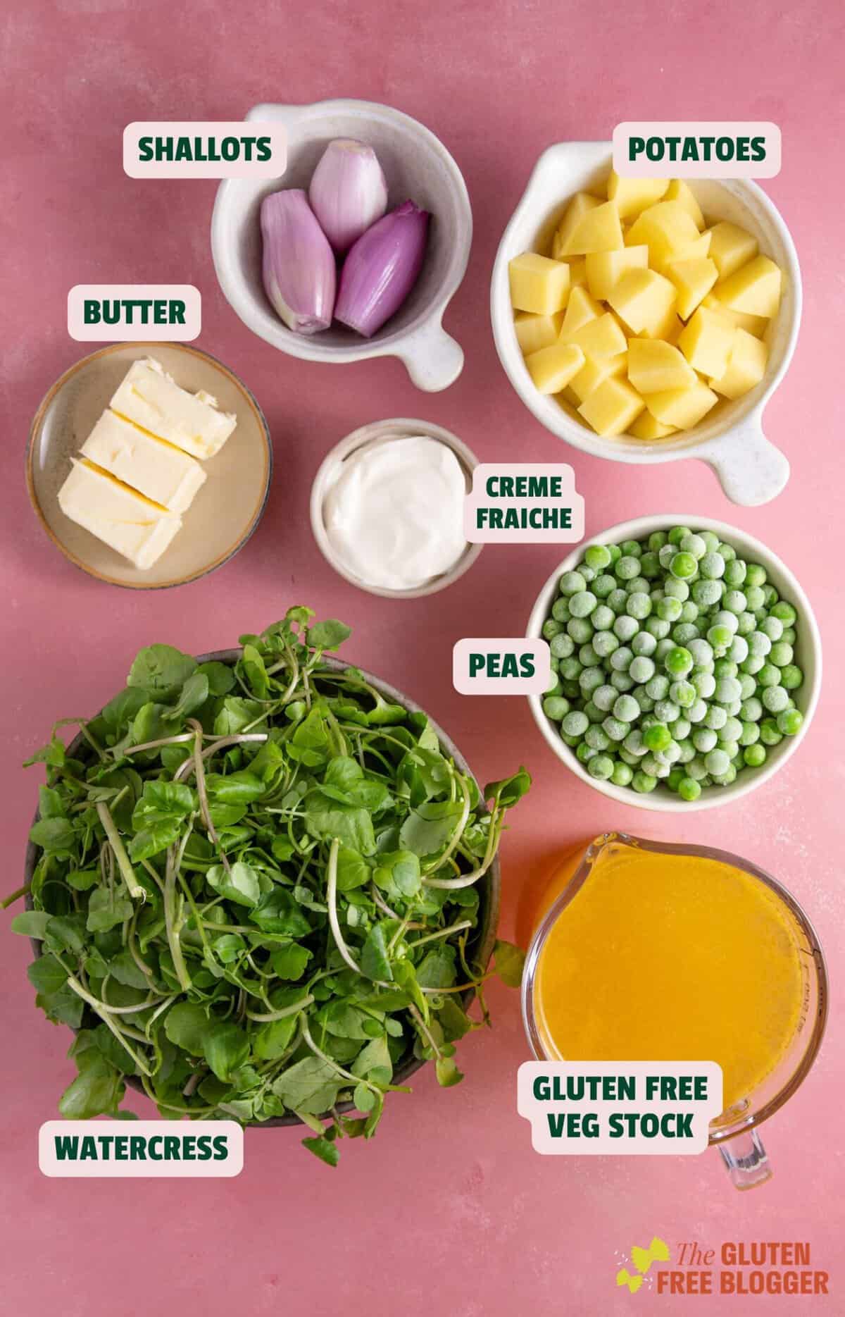 Ingredients for watercress soup on a pink background with text labels.