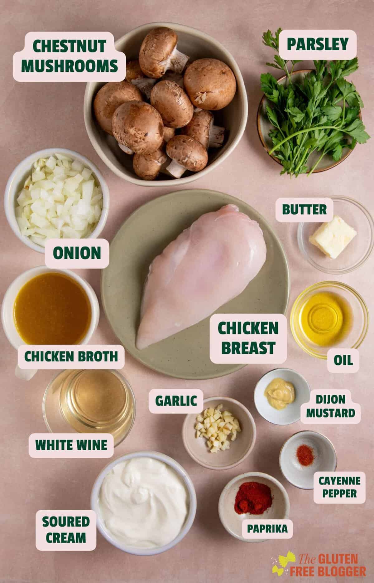 Ingredients for chicken stroganoff with text labels.