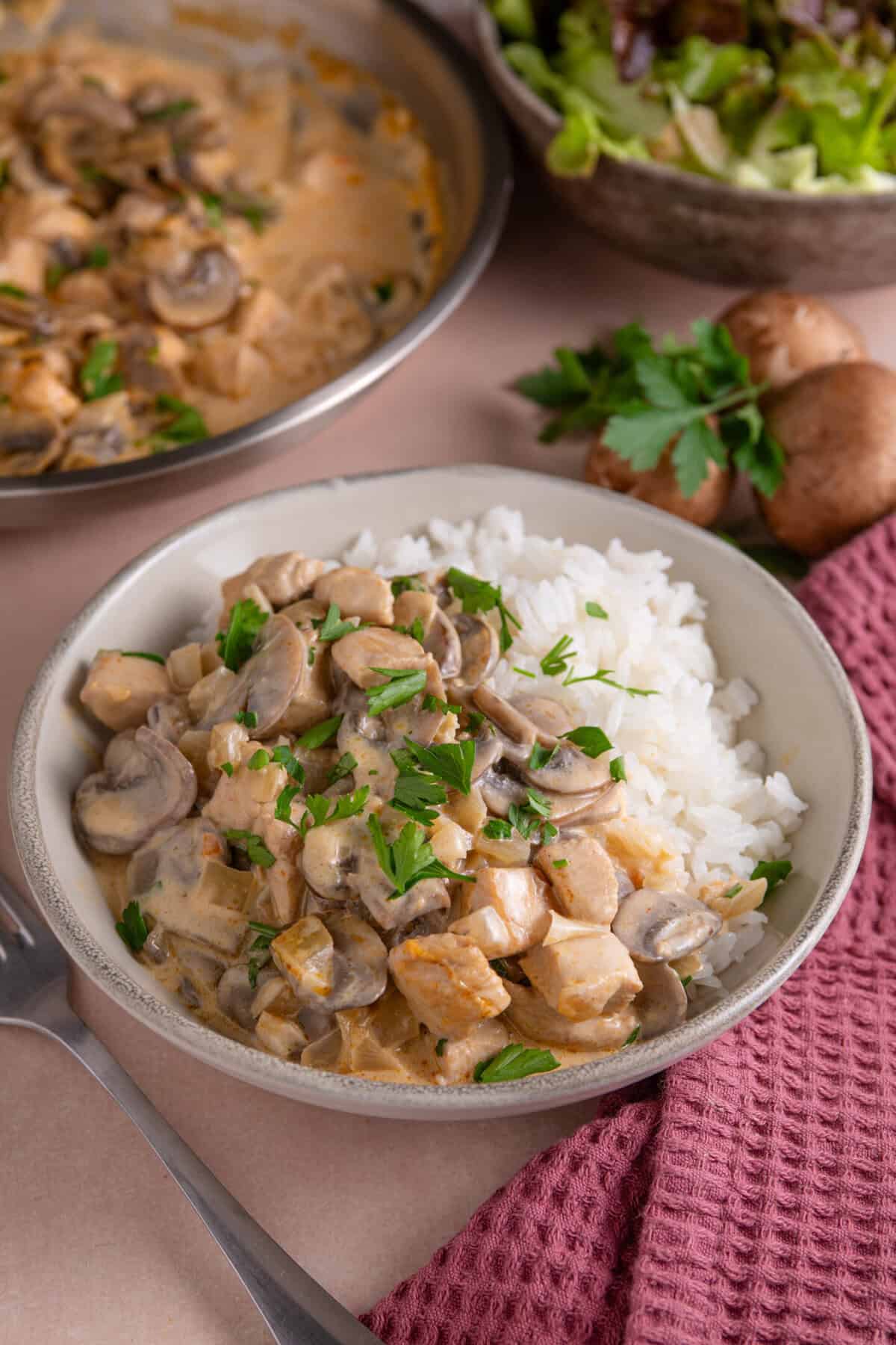 A bowl of chicken stroganoff with mushrooms and rice.