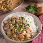 A bowl of chicken stroganoff with mushrooms and rice.