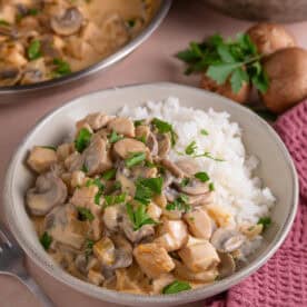 A bowl of chicken stroganoff with mushrooms and rice.