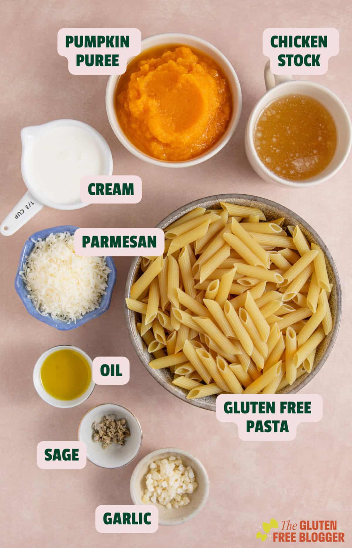 Ingredients for creamy pumpkin pasta with text labels.