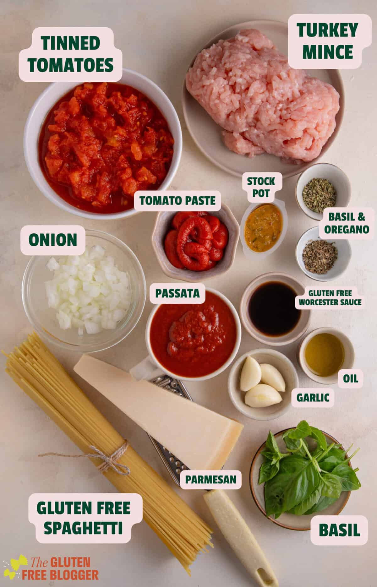 Ingredients for turkey bolognese with text labels.